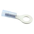 0190570060 - CONN RING CIRC 14-16AWG #1/4