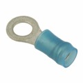 8-36160-1 - CONN RING CIRC 14-16AWG #10