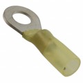 8-55858-3 - CONN RING CIRC 10-12AWG #1/4