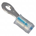 53416-1 - CONN RING CIRC 14-16AWG #6 CRIMP