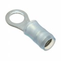 8-53418-1 - CONN RING CIRC 14-16AWG #10