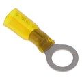 0191640857 - CONN RING CIRC 10-12AWG #3/8
