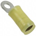 2-320634-1 - CONN RING CIRC 10-12AWG #6 CRIMP