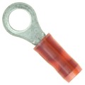 2-36153-4 - CONN RING CIRC 20AWG #10 CRIMP
