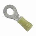 8-35110-1 - CONN RING CIRC 10-12AWG #1/4