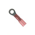 PH18-6R-Q - CONN RING CIRC 18-22AWG #6 CRIMP