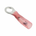 8-55848-2 - CONN RING CIRC 18-22AWG #10