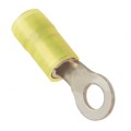 0190730170 - CONN RING CIRC 10-12AWG #10