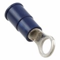 0190540224 - CONN RING CIRC 14-16AWG #8 CRIMP