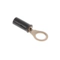 1577624-1 - CONN RING CIRC 20AWG #10 CRIMP
