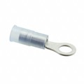 0190570093 - CONN RING CIRC 14-16AWG #10
