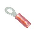 8-320551-1 - CONN RING CIRC 20AWG #8 CRIMP