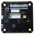 RC1880CEF-SPR-DB - RIIOT DEVELOPMENT BOARD
