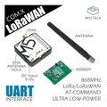 M031-C - COM.LORAWAN 868MHZ ASR6501