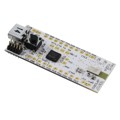 EBSHSNZWZ - EYSHSNZWZ BLUETOOTH 5 EVAL BOARD