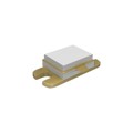 RX1214B300YI112 - RF POWER TRANSISTORS