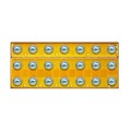 EPC2111 - GAN TRANS ASYMMETRICAL HALF BRID