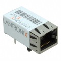 XP1002000-05R - IC MOD DSTNI-EX 25MHZ 256KB