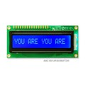 AMC1601AR-B-B6WTDW - LCD COB CHAR 16X1 BLUE TRANSM