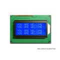 AMC1604CR-B-B6WTDW - LCD COB CHAR 16X4 BLUE TRANSM