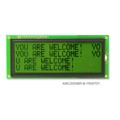 AMC2004BR-B-Y6WFDY - 20X4 CHARACTER STN YELLOW GREEN
