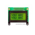 AMC0802DR-B-Y6WRN - LCD COB CHAR 8X2 Y/G TRANSF