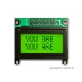 AMC0802DR-B-Y6WFDY - LCD COB CHAR 8X2 Y/G TRANSF
