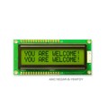 AMC1602AR-B-Y6WFDY - 16X2 CHARACTER STN POS YG