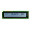 C202C-FTW-LW65 - 20X2 FSTN GRAY CHARACTER LCD