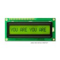 AMC1601AR-B-Y6NFDY - LCD COB CHAR 161 Y/G TRANSF