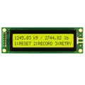 NHD-0224BZ-FL-YBW - LCD MOD 48DIG 24X2 TRANS YLW/GRN