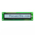 C161B-FTW-LW65 - 16X1 FSTN GRAY CHARACTER LCD