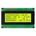 MOP-AL204A-BYFY-25E-3IN - LCD MOD 80DIG 20X4 TRANS YLW/GRN