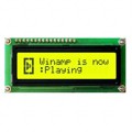 LK162-12-E - LCD MODULE 32 DIG 16 X 2 YLW/GRN