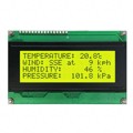 LK204-25-422 - LCD MOD 80DIG 20X4 TRANS YLW/GRN