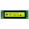 LK202-25-USB-E - LCD MOD 40DIG 20X2 TRANS YLW/GRN