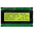 LK204-25-422-E - LCD MOD 80DIG 20X4 TRANS YLW/GRN