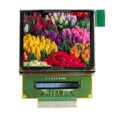 AOC12896A0-1.27W - 1.27'' 128X96 OLED RGB COLOR