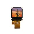 E144RG11212LW6M250-N - 1.4" TFT