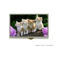 ACN480272A00-4.3N12NSM-R - EMBED LCD 4.3" 480272 RGB RTP