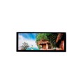 ATM0680L2A-CT - 6.8" IPS LCD 480 X 1280 W/ PCAP