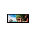 ATM0680L2-CT - 6.8" IPS LCD 480 X 1280 380 NITS