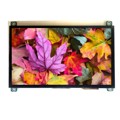 AFY1024600A0-7.0INTH-C-HDMI - 7'' HDMI/USB/VGA PCAP 1024600