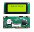 NHD-10032AZ-FSY-GBW - LCD MOD GRAPH 100X32 Y/G TRANSFL