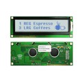 NHD-16032BZ-FSW-GBW - LCD MOD GRAPH 160X32 WH TRANSFL