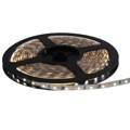 12V-SB-PW-12M - LED ENG NEU WHT 4200K 12M REEL