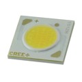 CXA1512-0000-000F0HM265F - LED COB CXA1512 COOL WHT SQUARE