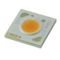 CXA1304-0000-000F0HC250G - LED COB CXA1304 5000K WHITE SMD