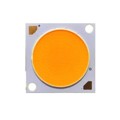 BXRE-50C6501-D-74 - LED COB GEN7 V22 5000K SQUARE