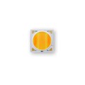 BXRV-TR-2765G-40A0-A-23-S2 - TW LED ARRAY, LES=18MM, INTEGRAT